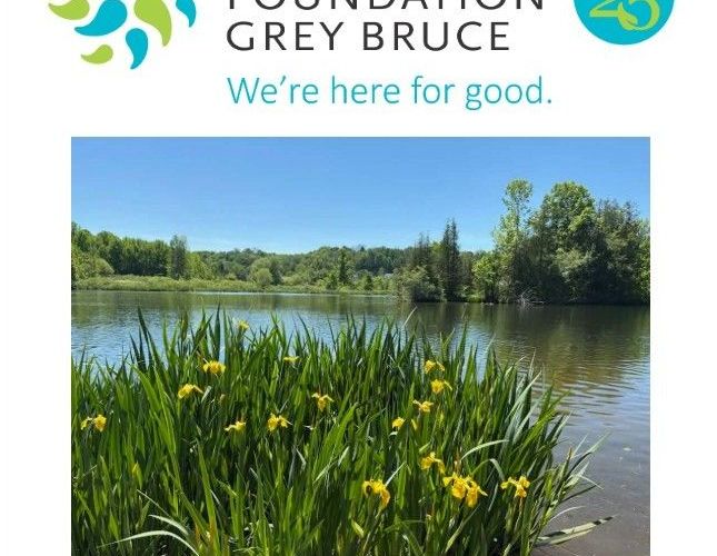 Summer 2026 Newsletter